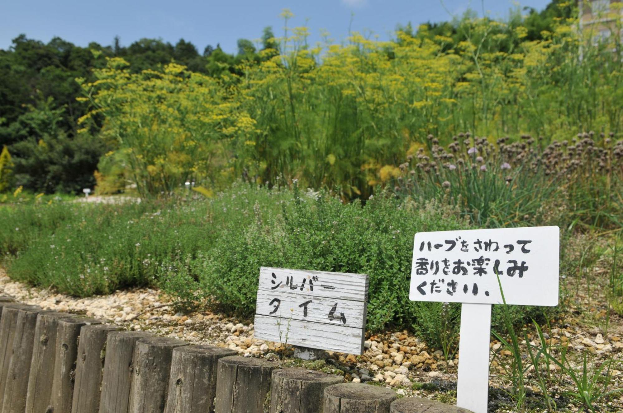 Hashidate Bay Hotel Yosano Zewnętrze zdjęcie